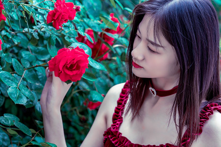 拓展合作新机遇 第八届进博会招商路演走进河北